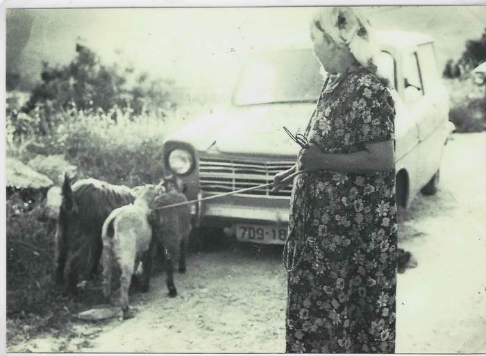 מדרגות גן עדן — סיור לעמק התימנים בעין כרם